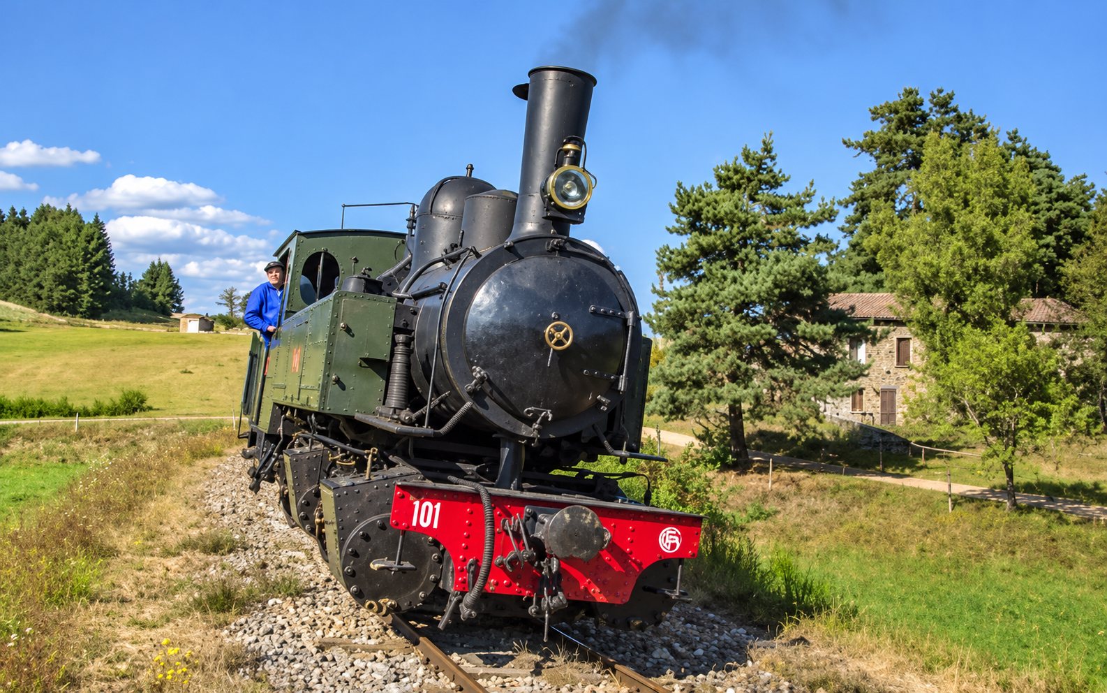 Une locomotive à vapeur noire et rouge numérotée 101 avance sur une voie au milieu de prairies et de pins, tandis qu'un employé se penche à la fenêtre cabine.