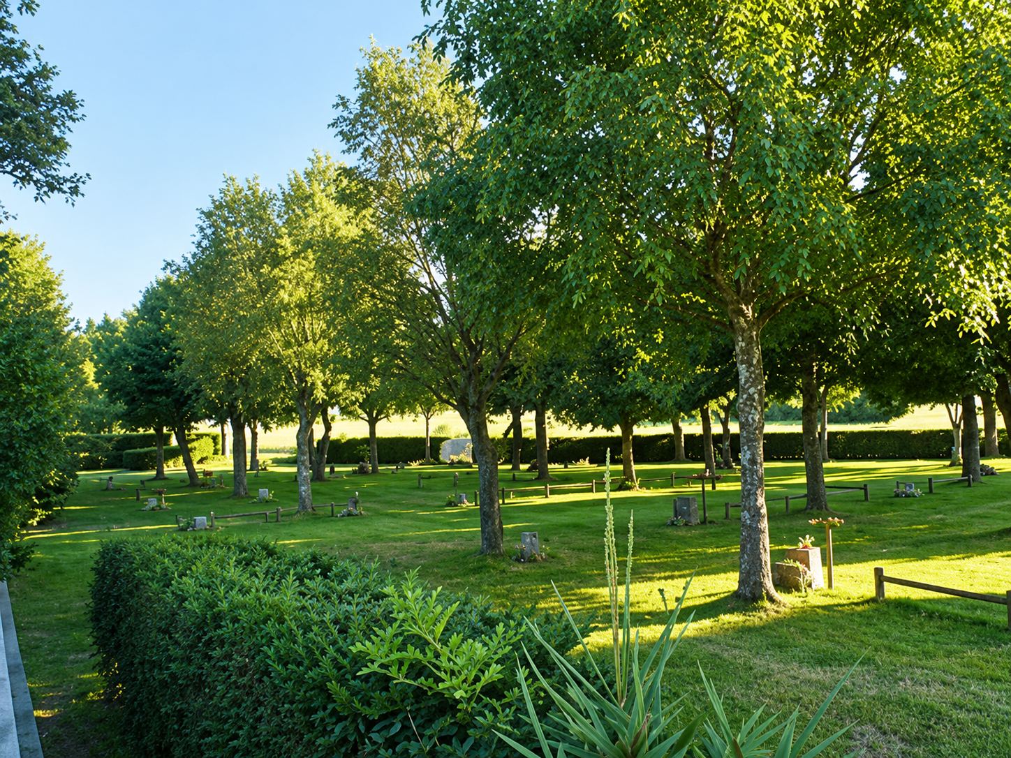 Un parc ensoleillé avec de grands arbres, une pelouse verte, des haies taillées et des plantes au premier plan.